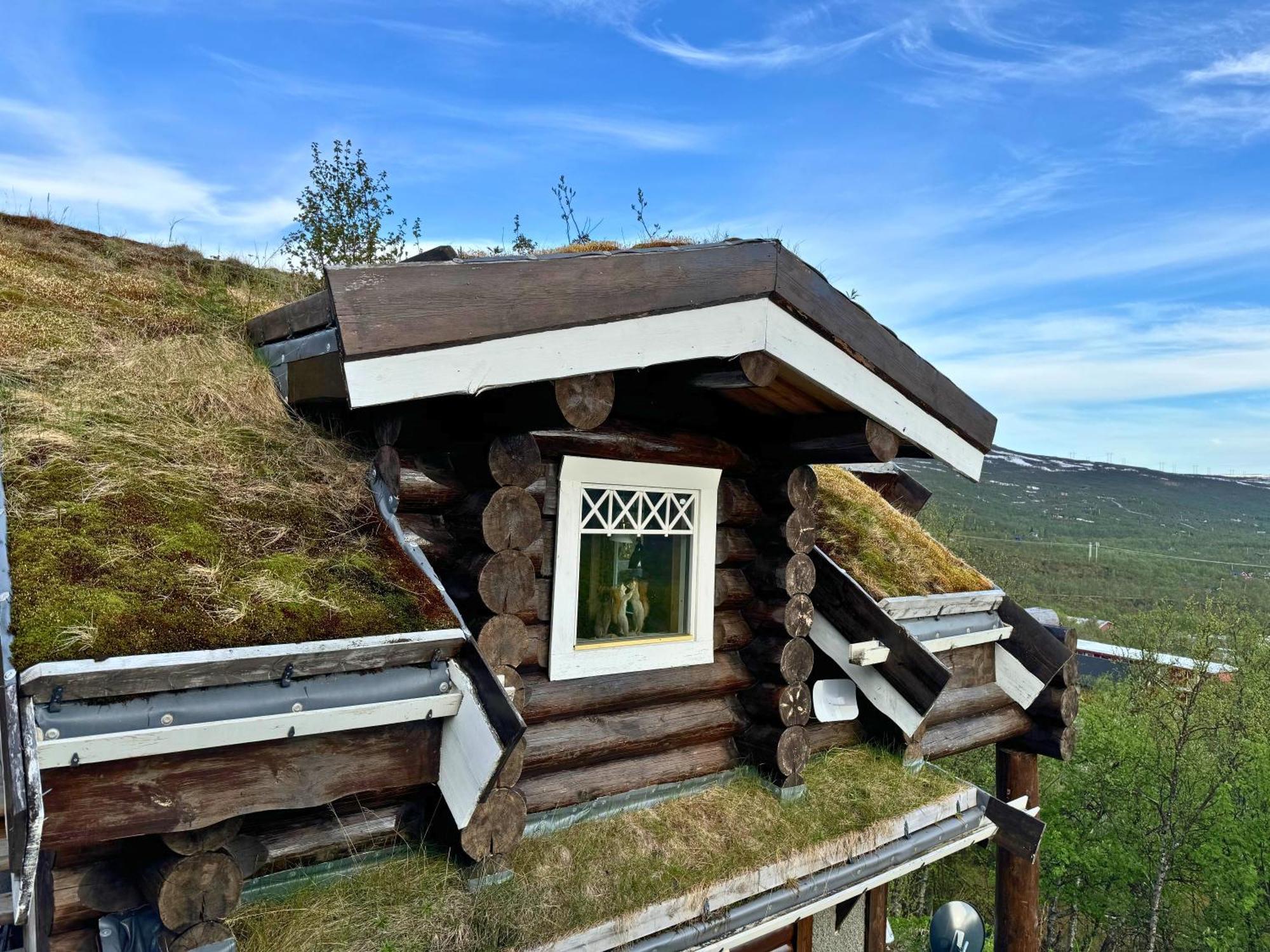 Unique Arctic Timber Cabin Skaidi ภายนอก รูปภาพ